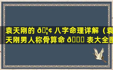 袁天刚的 🦢 八字命理详解（袁天刚男人称骨算命 🕊 表大全图）